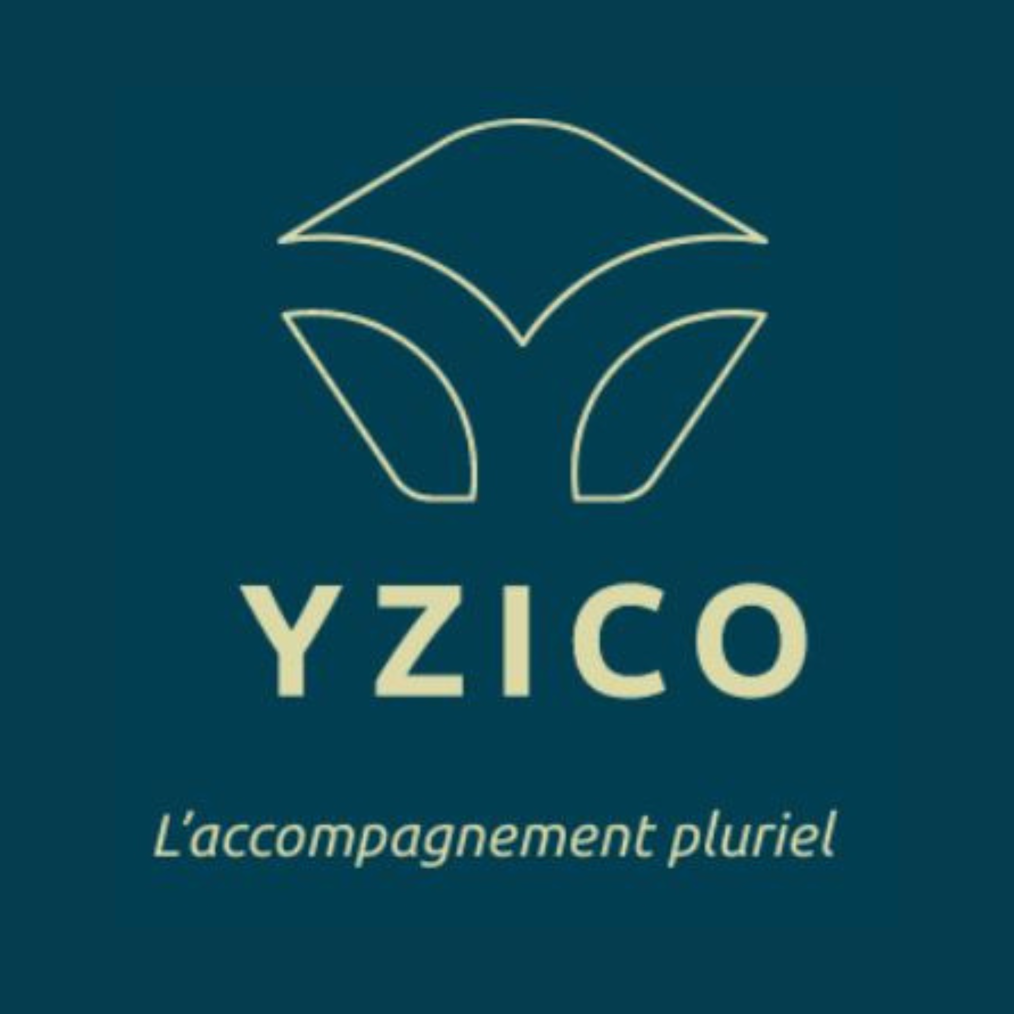 YZICO